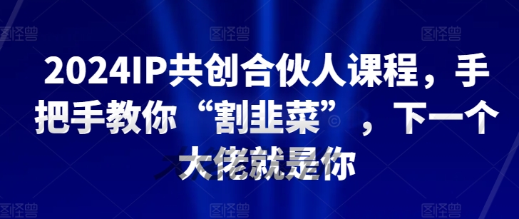 成为互联网大佬从这里起步：共创合伙人课程实战指南插图