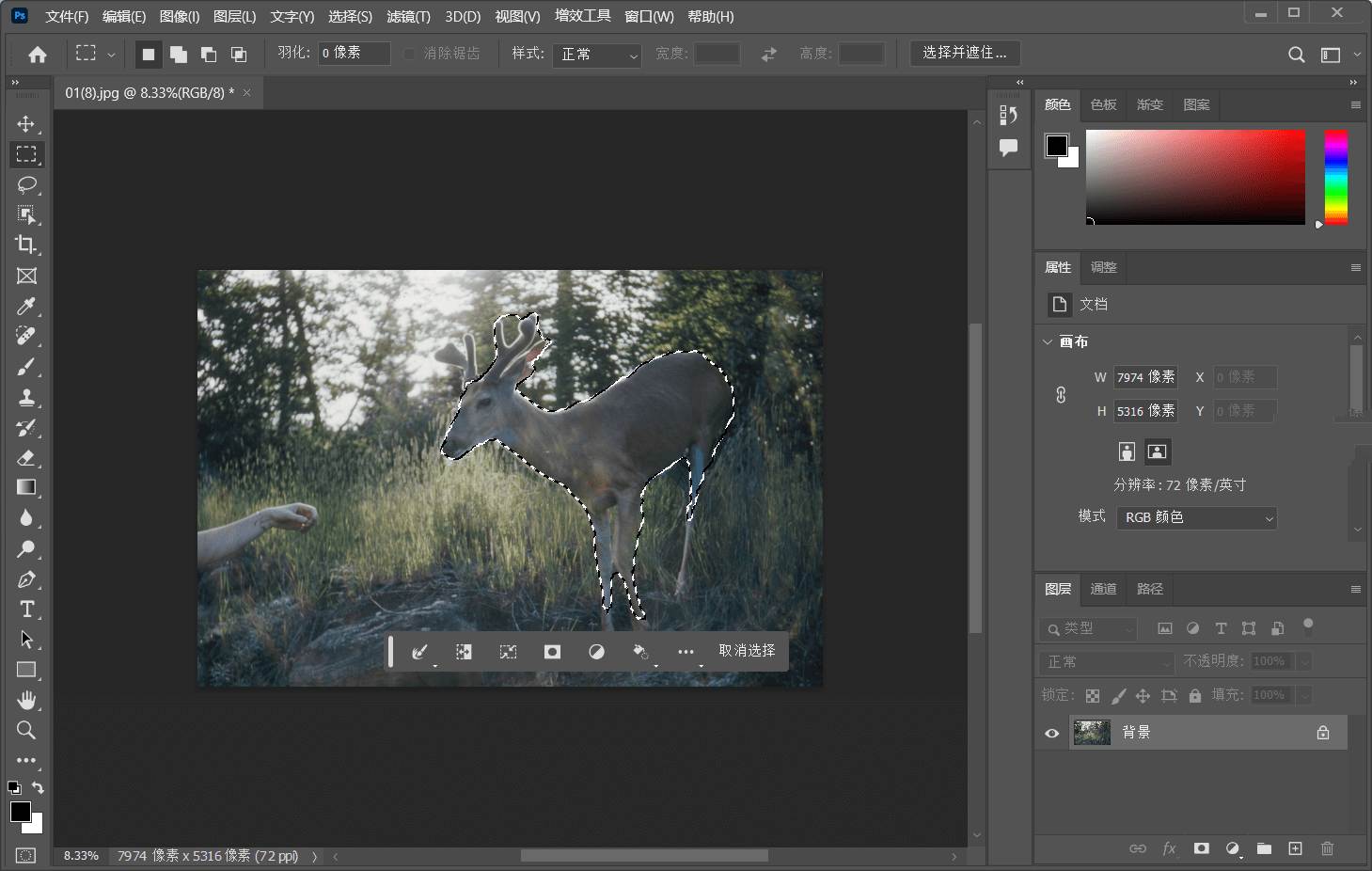 Adobe Photoshop 2025 v26.5.0精简版绿色破解版软件介绍插图1