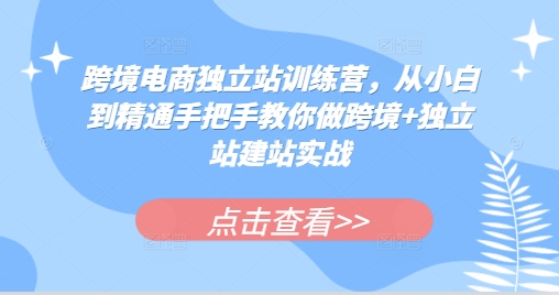 【第8680期】跨境电商独立站训练营，从小白到精通手把手教你做跨境+独立站建站实战
