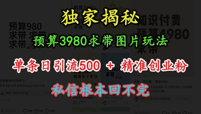 【第8689期】图片玩法，单条日引流500+精准创业粉，私信根本回不完插图