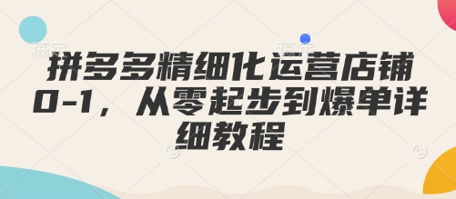 【第8896期】拼多多精细化运营店铺0-1，从零起步到爆单详细教程
