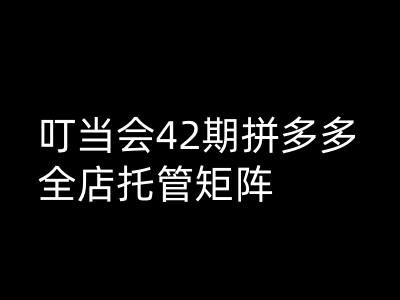 拼多多全店托管矩阵高阶技术课程第42期：叮当会独家解析插图