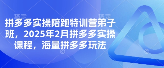 【第9094期】拼多多实操陪跑特训营弟子班，2025年2月拼多多实操课程，海量拼多多玩法