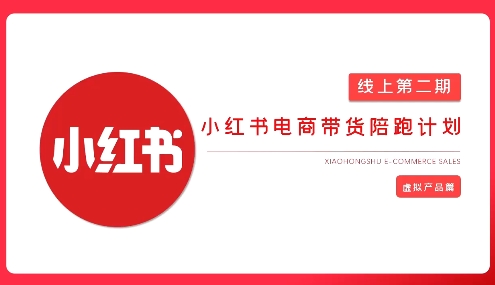 小红书虚拟电商实战课程：从零打造无货源店铺，AI赋能爆款笔记变现插图