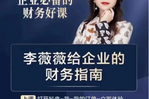 李薇薇财务指南：老板、财务总监及高管必读插图