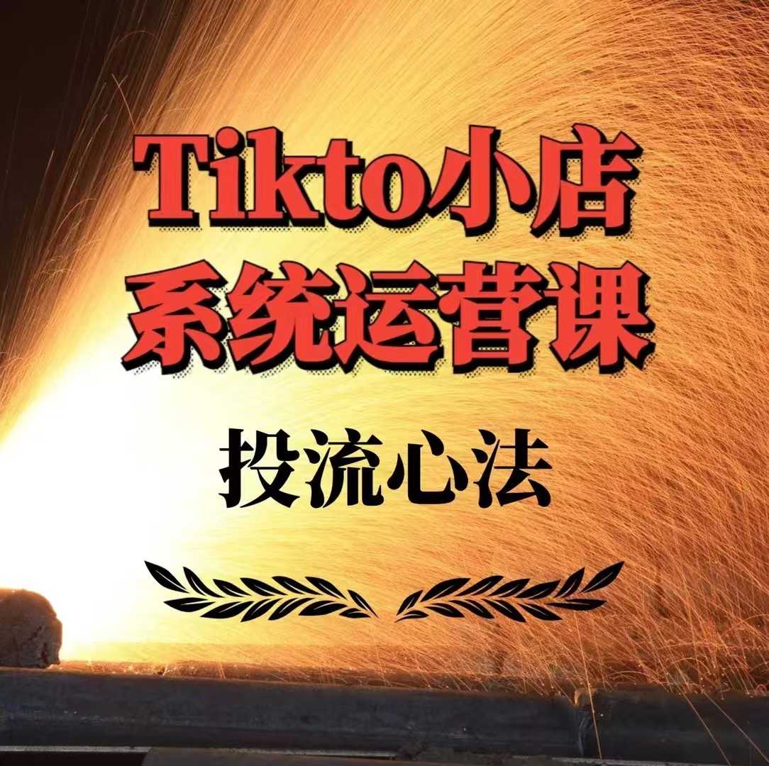 【第9270期】TikTok小店系统运营课：Allen-TK投流技法全攻略，包括广告命名 扩量手法及市场运营方法