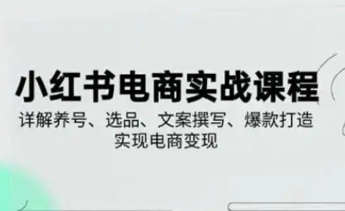 【第9269期】小红书从0-1实操课2025养号、选品、文案撰写、爆款打造实现电商变现