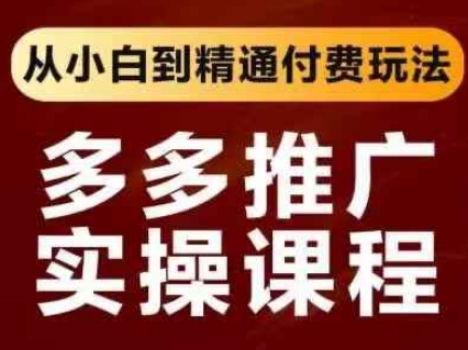 拼多多推广实操教程：从入门到精通玩转付费推广插图