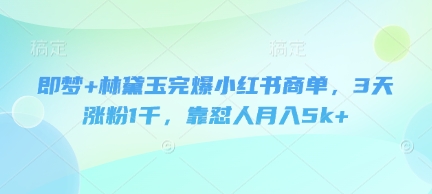 即梦+林黛玉策略助力小红书商单成功，快速涨粉与稳定收益攻略插图