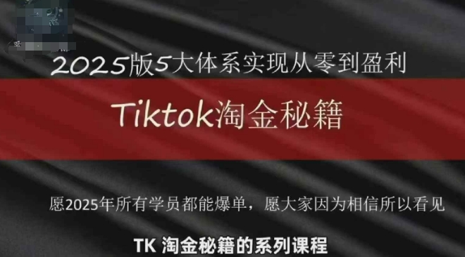 TikTok跨境运营宝典：2025年盈利之路插图