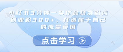 小红书引流创业粉策略：精准引流，打造流量帝国插图
