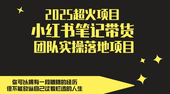 【第9434期】2025超火项目，小红书笔记带货团队实操落地项目，轻松日入5张