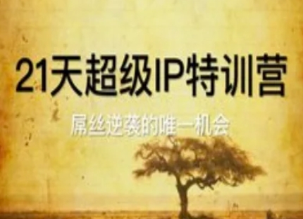 IP特训营：打造个人品牌的14天挑战课程插图