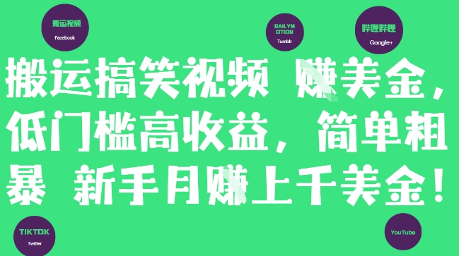 搞笑视频搬运至Dailymotion，轻松赚取美金！低门槛高收益，月入美刀不是梦！插图