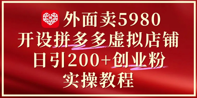 开设拼多多虚拟店铺实战教程：引流200+创业粉丝，仅需5980插图