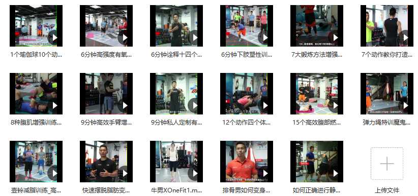 OneFit全方位体能训练视频教程插图